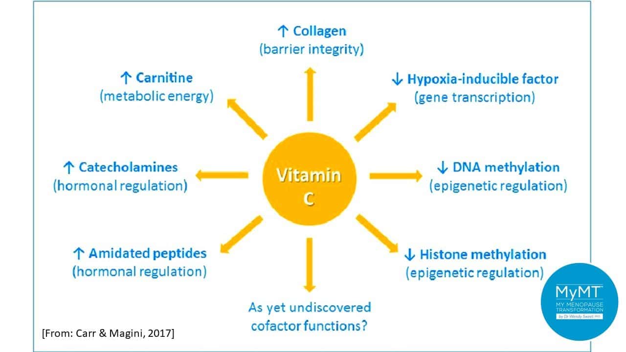 Vitamin C Immune Function Diagram Carr Magini 2017