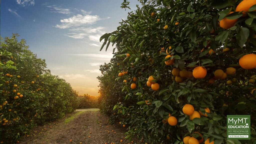 Citrus Grove and Education Logo