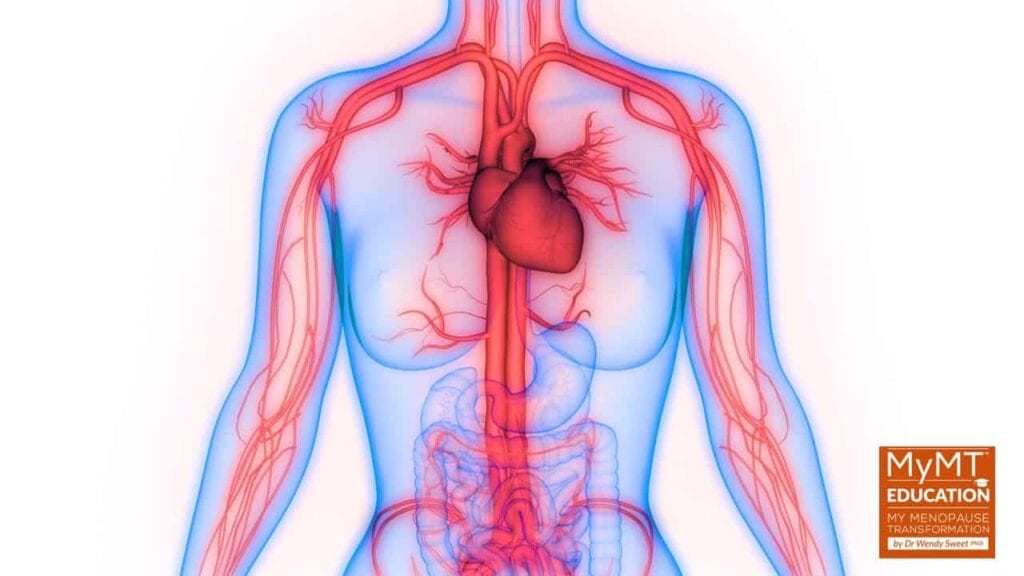 Blood Vessels and Logo