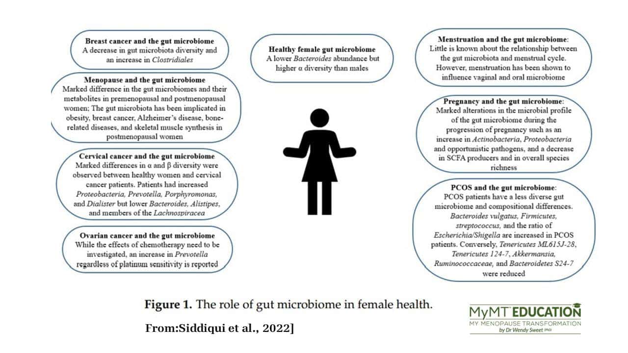 Gut Microbiome and Womens Health