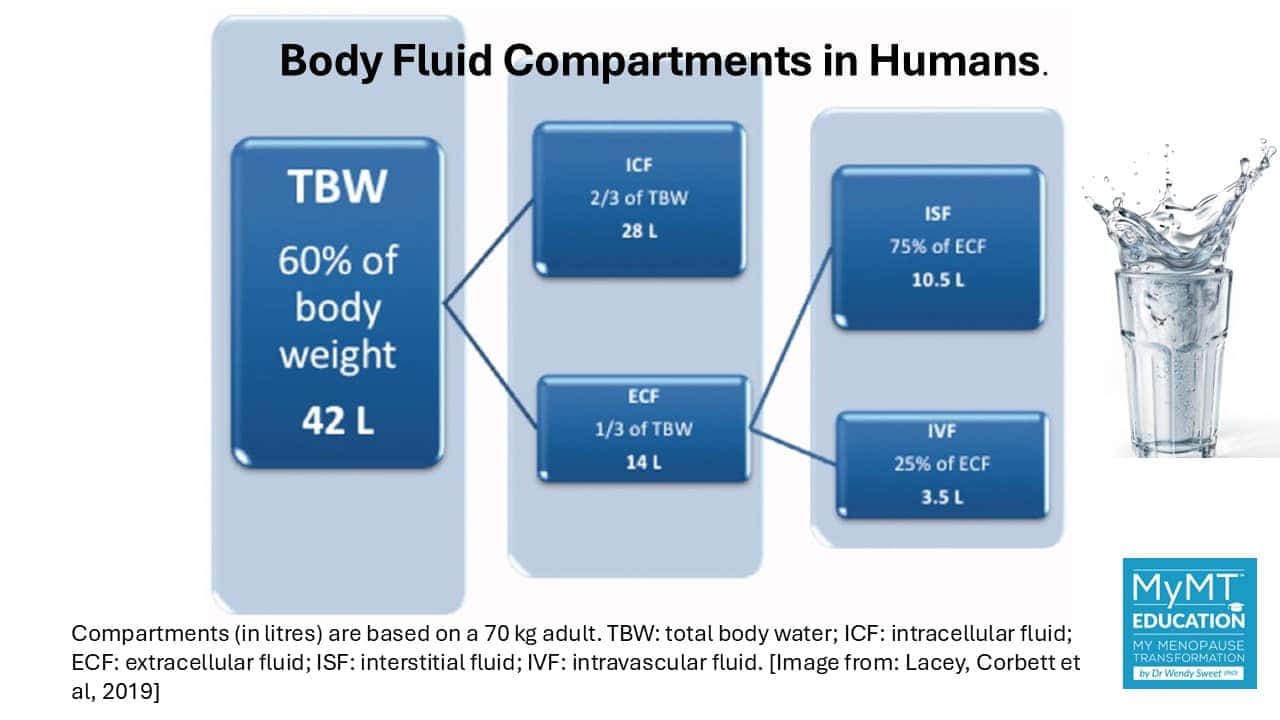 Fluid Compartments in Humans and Water
