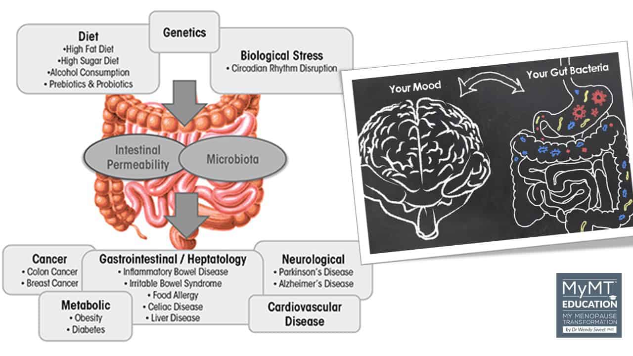 Gut Mood Connection and Changes Education Logo