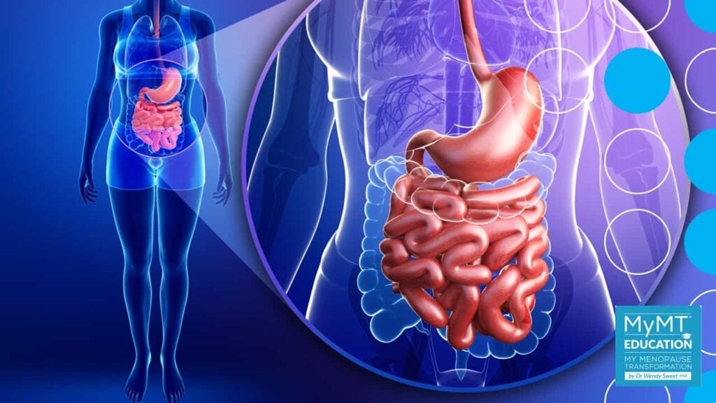 Gut Health Image for Newsletter