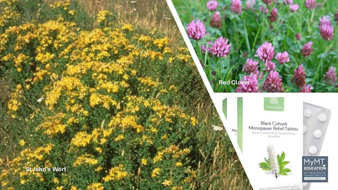 Black Cohosh St Johns Wort and Red Clover