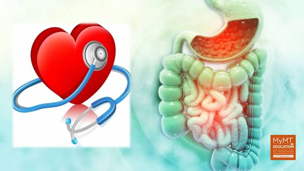 Gut Health and Heart Health MyMT Education