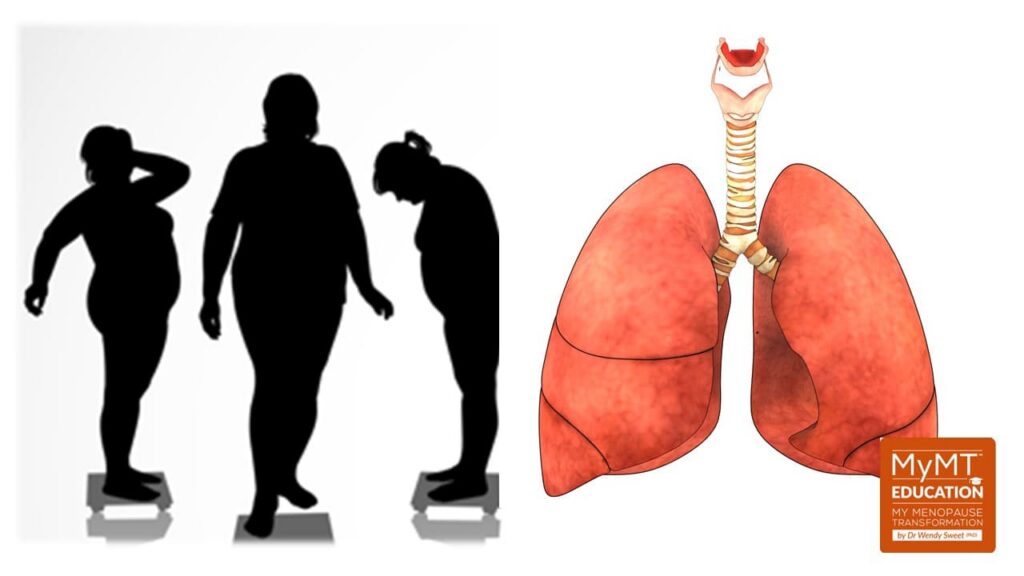 Lungs and Diaphragm Fat