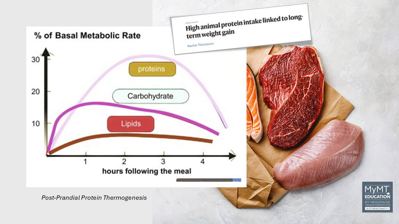 Protein Thermogenesis and Meat