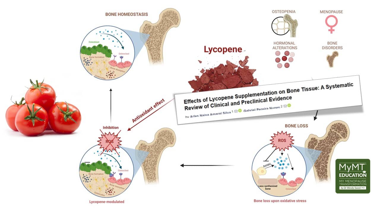 Lycopene effects on bone loss with snippet and Education logo