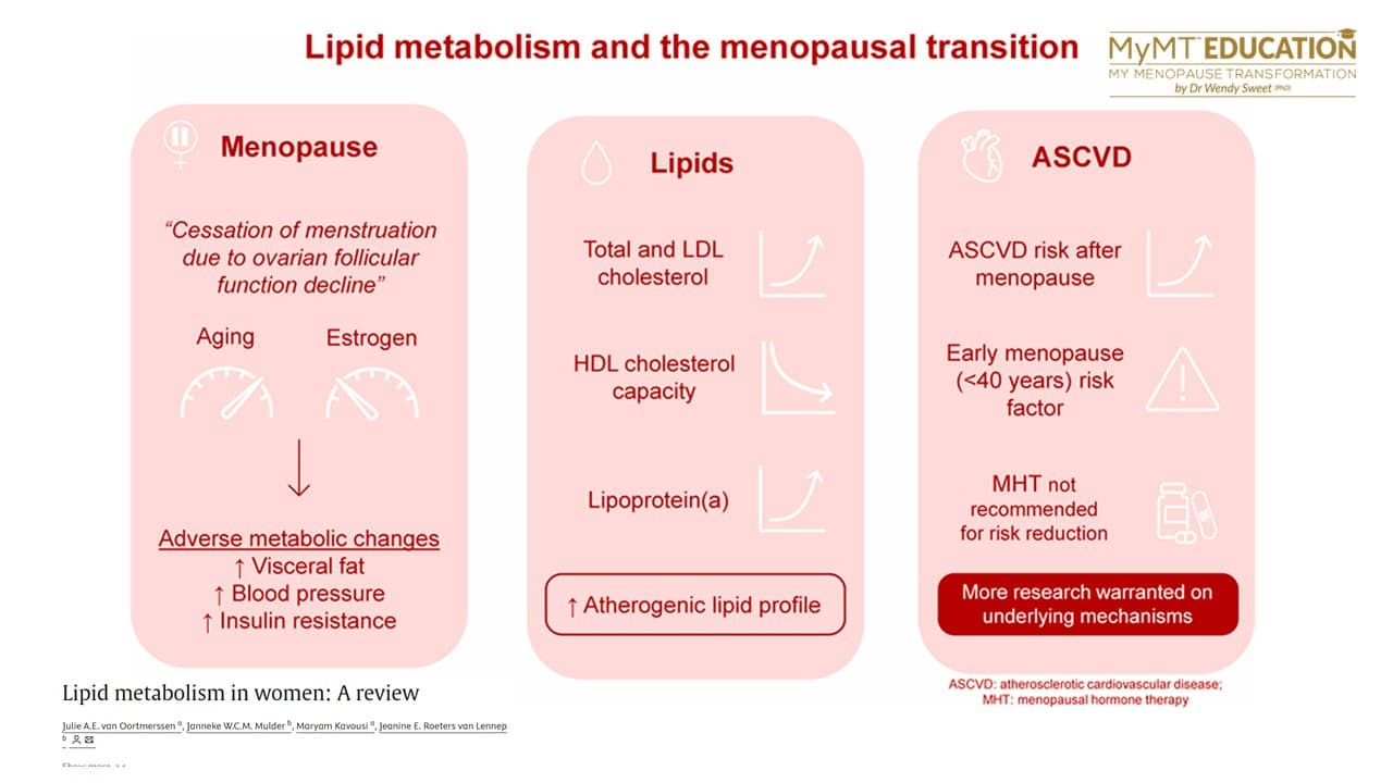 2026 Lipid Metabolism in Women Diagram