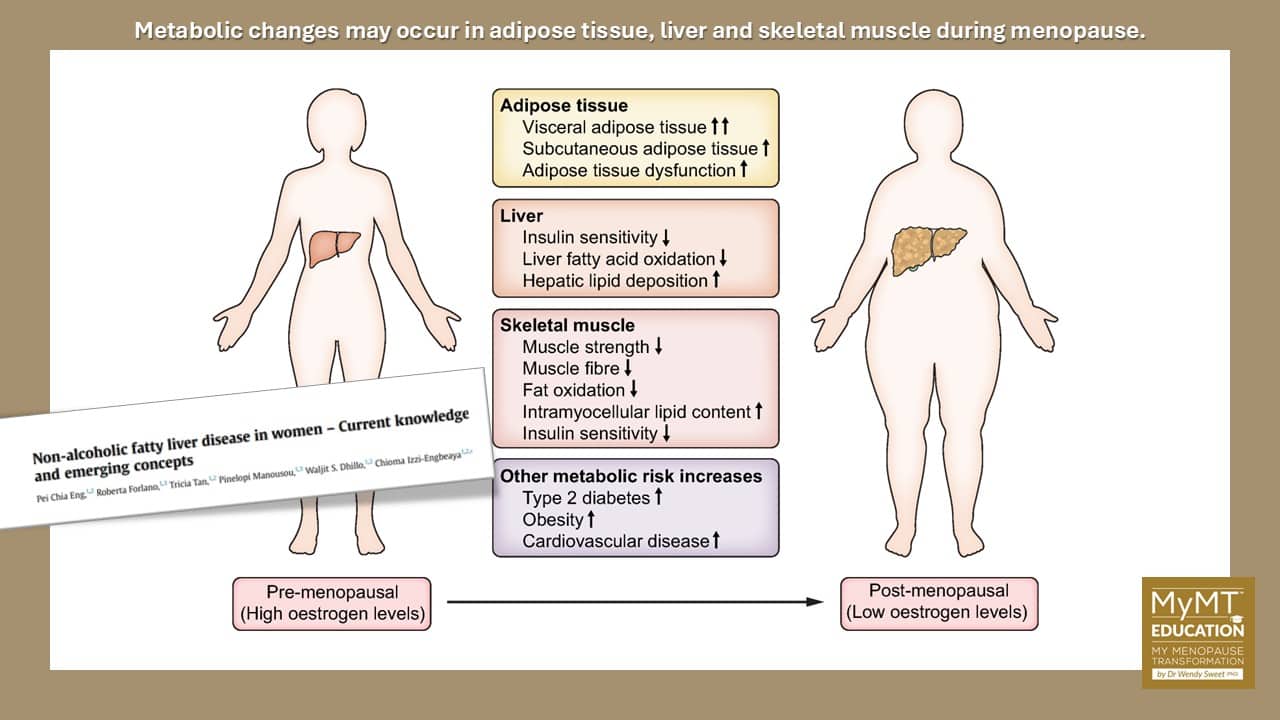 Fatty Liver and Changes in Menopause and Snippet